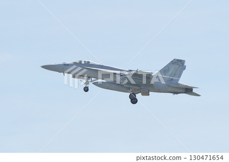 美國海軍 F/A-18E 超級大黃蜂 VFA-195 轟炸機進行示範飛行 130471654