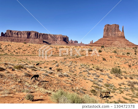 [Arizona] West Mitten in Monument Valley 130472378