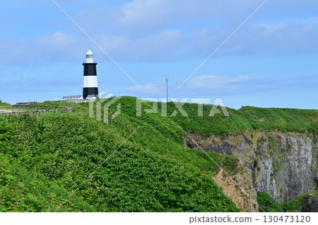 Nogi Cape燈塔 Nogi Cape燈塔 130473120