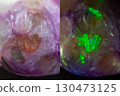Steacyite in Charoite gemstone 130473125