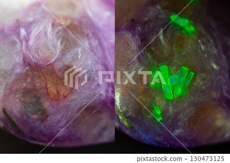 Steacyite in Charoite gemstone 130473125