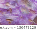 Closeup Steacyite mineral in Charoite gemstone 130473129