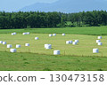Roll bale wrap silo 130473158
