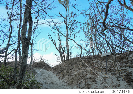 Yamanashi Prefecture_Hyugayama 130473426