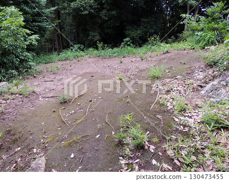 Mount Pompon Mount Pompon 130473455