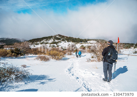 Hikers walking snowy trail on Hallasan Eorimok Trail, Jeju Island 130473970