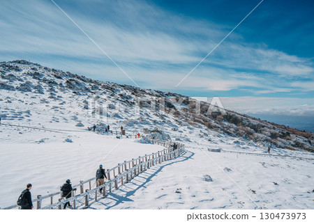Hikers walking snowy trail on Hallasan Eorimok Trail, Jeju Island Hikers walking snowy trail on Hallasan Eorimok Trail, Jeju Island 130473973