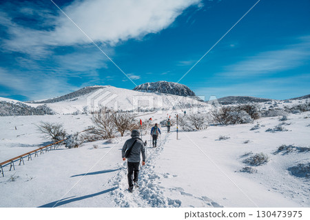 Hikers walking snowy trail on Hallasan Eorimok Trail, Jeju Island Hikers walking snowy trail on Hallasan Eorimok Trail, Jeju Island 130473975