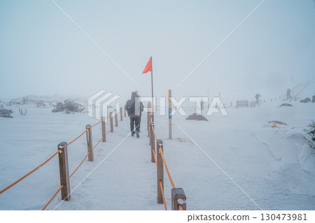 Hikers walking snowy Eorimok Trail in mist, Hallasan, Jeju Island Hikers walking snowy Eorimok Trail in mist, Hallasan, Jeju Island 130473981