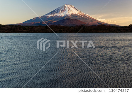 從精進湖眺望黃昏的富士山 從精進湖眺望黃昏的富士山 130474257