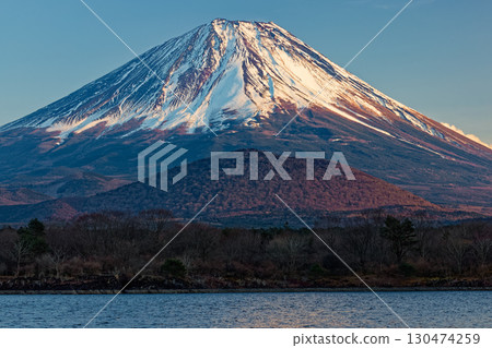 Mount Fuji at dusk as seen from Lake Shojiko 130474259