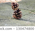 Snowman Pine Cone 130474800