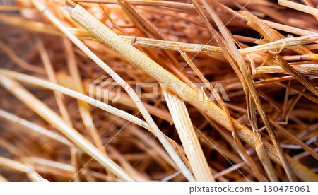 macro photo of straw texture 130475061
