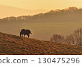 Horses on the plateau at sunset 130475296