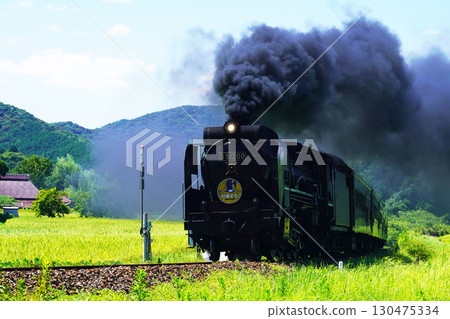 SL 山口 D51 961- 130475334