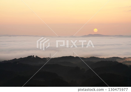 Sea of clouds and sunrise 6377- 130475977