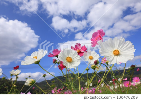 宇宙場 6384 130476209