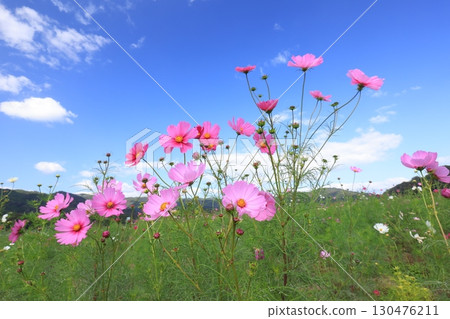 宇宙場 6395 130476211