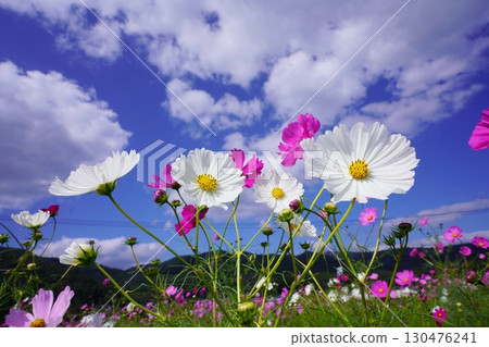 宇宙場 6055 130476241