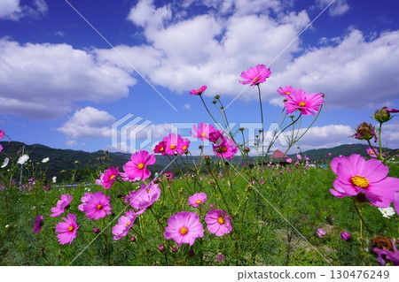 宇宙場 6098 130476249