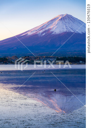 [Mt. Fuji material] Mt. Fuji seen from Lake Kawaguchi on a winter morning [Yamanashi Prefecture] 130476819