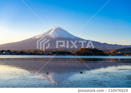 [富士山資料]冬天的早晨從河口湖看到的富士山[山梨縣] 130476829