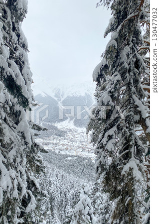 Snow-covered pine trees framing a winter mountain village scene below. 130477032