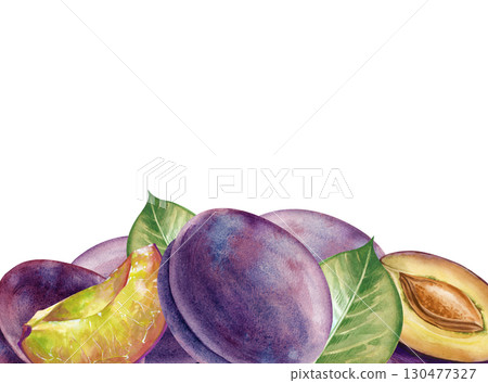Watercolor horizontal frame with ripe plums. A botanical border with whole plums and halves, a plum slice and green leaves. A template with seasonal fruits for menus, healthy eating, and gardening. 130477327