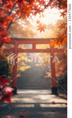 秋季 秋葉 神社 鳥居 日本 日本文化 9:16 130477606