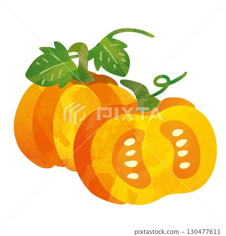 橙色南瓜的插圖 130477611