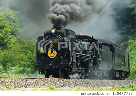 SL Yamaguchi D51 2687 130477752