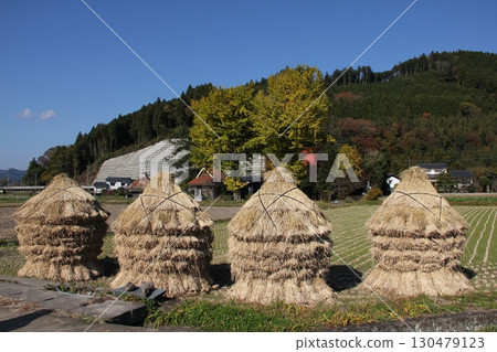 Landscape with thatched roof 130479123