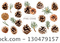 Pine cone vector illustration material set 130479157