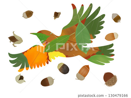 Illustration of a brown-eared bulbul and acorns Illustration of a brown-eared bulbul and acorns 130479166