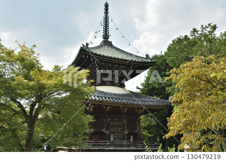 Summer at Seiryoji Temple Tahoto Pagoda (Ukyo Ward, Kyoto City) 130479219