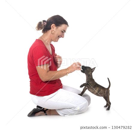 miniature bull terrier and woman in studio 130479282