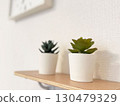 Bright interior with houseplants 130479329