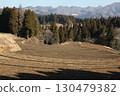 Rice terraces 130479382