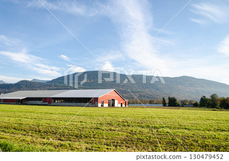 Autumn colors of the Agricultural farms in Chilliwack, BC, Canada 130479452