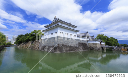 Summer at Sunpu Castle, Shizuoka City, Shizuoka Prefecture Summer at Sunpu Castle, Shizuoka City, Shizuoka Prefecture 130479613