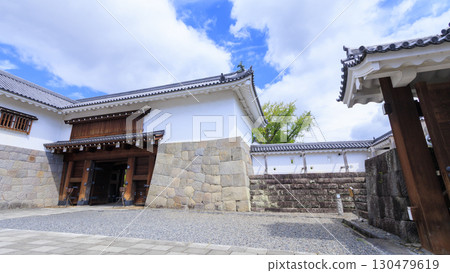 Summer at Sunpu Castle, Shizuoka City, Shizuoka Prefecture 130479619