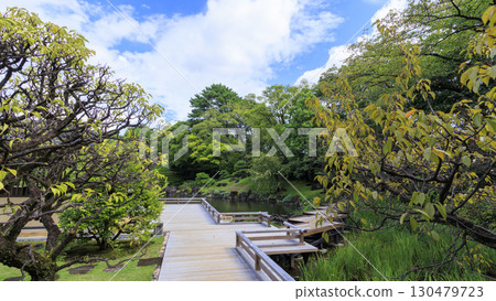 Summer at Momijiyama Garden at Suruga Castle Summer at Momijiyama Garden at Suruga Castle 130479723