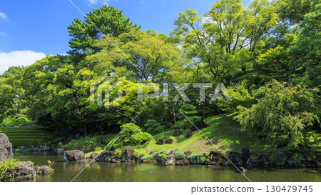 駿河城紅葉山庭園的夏天 130479745