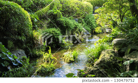 Summer at Momijiyama Garden at Suruga Castle Summer at Momijiyama Garden at Suruga Castle 130479752