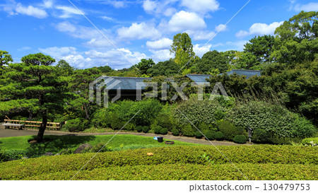駿河城紅葉山庭園的夏天 駿河城紅葉山庭園的夏天 130479753