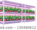 Strawberry-producing plant factory 130480612
