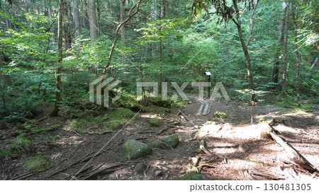 Atera Valley Walking Path Atera Valley Walking Path 130481305
