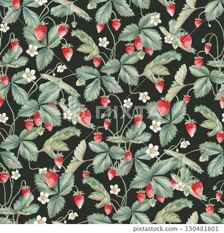 Seamless pattern with watercolor illustration of wild strawberries with white flowers. Hand painted print with woodland berries with green leaves on isolated background. Floral ornamental pattern. Seamless pattern with watercolor illustration of wild strawberries with white flowers. Hand painted print with woodland berries with green leaves on isolated background. Floral ornamental pattern. 130481601