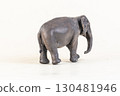 asian elephant on isolated background 130481946