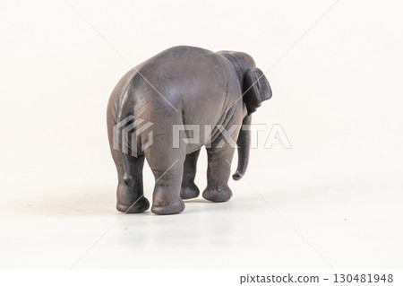 asian elephant on isolated background 130481948